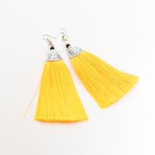 Load image into Gallery viewer, Tassel Statement Earrings